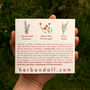 Grow Your Own Welsh Herbs Seed Kit, thumbnail 3 of 9