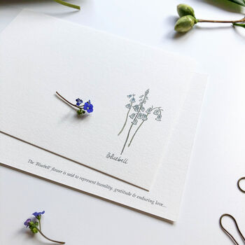 Hand Illustrated ‘Spring Flowers’ Flat Notecard Set, 3 of 8