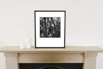 Tree Branches, Melford Hall Photographic Art Print, 2 of 4
