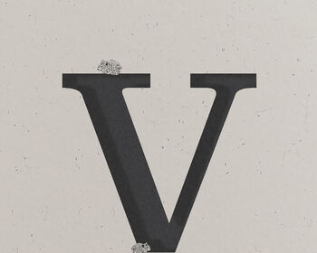 V Is For Vole, Alphabet Card, 2 of 3