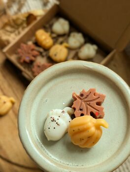 Autumnal Wax Melt Selection Box For Autumn Decor, 7 of 10