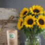 Sunflower Seeds And Slates Gift Set, thumbnail 2 of 3