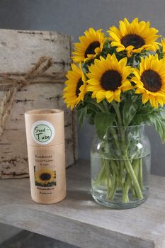Sunflower Seeds And Slates Gift Set, 2 of 3
