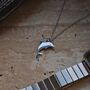 Silver Dolphin Pendant Necklace Gift, thumbnail 7 of 7