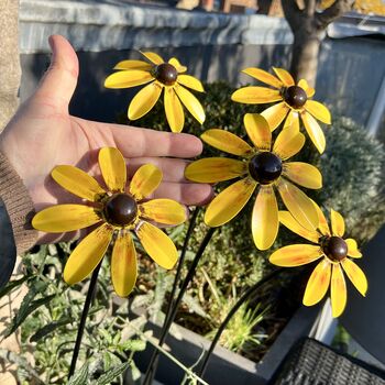 Set Of Five Rudbeckia Flower Sculptures, 6 of 7