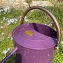 Perfectly Purple With Copper Trim Watering Can Duo, thumbnail 4 of 9