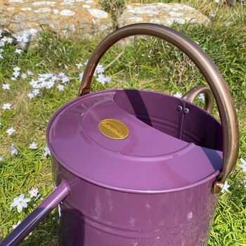 Perfectly Purple With Copper Trim Watering Can Duo, 4 of 9