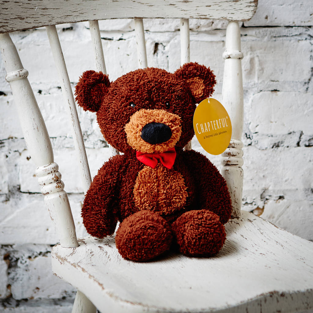 Image of Chapterful Teddy Bear