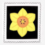Hand Iced Daffodil March Birth Flower Letterbox Biscuit, thumbnail 1 of 5