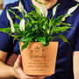 Milestone Birthday Gift Terracotta Plant Pot, thumbnail 1 of 4