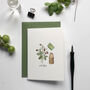 ‘The Garden’ Writing Set Of Notecards And Postcards, thumbnail 4 of 6