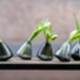 Tumbling Glass Vase Grey Transparent, thumbnail 3 of 7