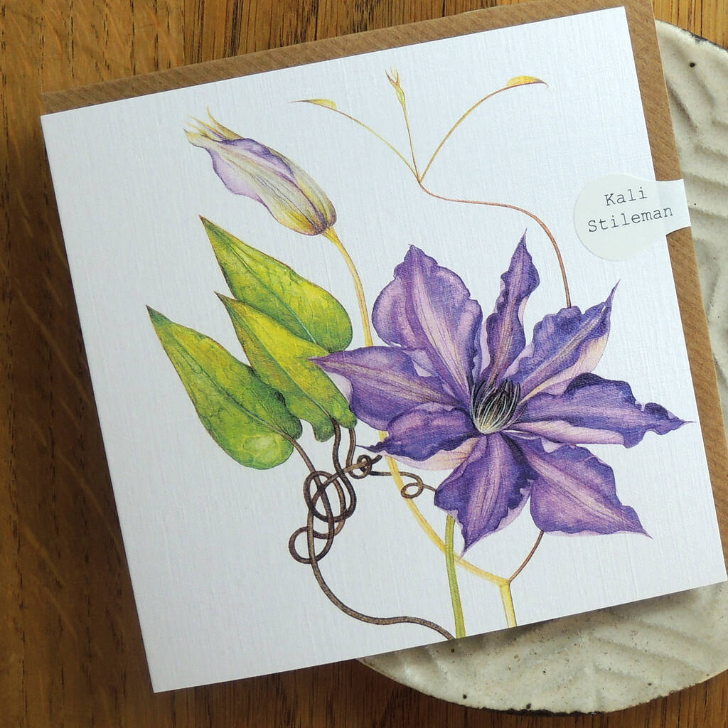 Clematis Greetings Card By Kali Stileman Publishing ...