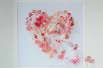 Blossom Coloured 3D Framed Butterfly Heart, 6 of 6