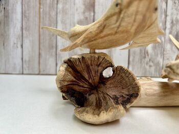 Hand Carved Wooden Whale Pair Sculpture Ornament, 4 of 12