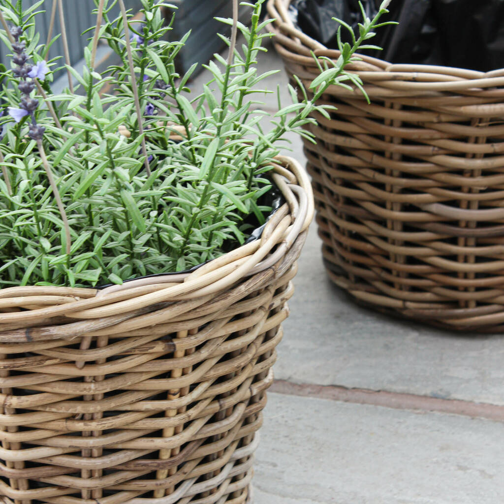 Tapered Round Rattan Planter By Marquis & Dawe | notonthehighstreet.com