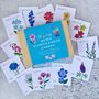 Flower Garden Seed Kit, Journal And Matching Tea Towel, thumbnail 1 of 10