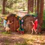 Fairy Door Garden Ornaments Mini 2pc Set Outdoor Pixies, thumbnail 1 of 12
