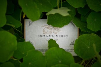 Sustainable Seed Kit. Plants For The Vegetable Patch, 3 of 6