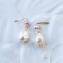 Purple And White Freshwater Pearl Earrings, thumbnail 3 of 8