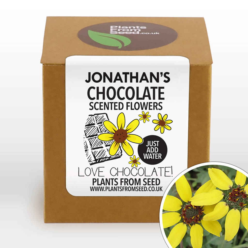 complete grow your own chocolate scented flowers kit by plants from