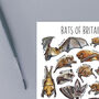 Bats Of Britain Watercolour Postcard, thumbnail 3 of 8