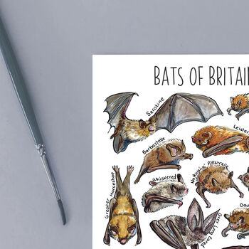 Bats Of Britain Watercolour Postcard, 3 of 8