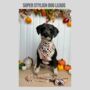 Patchwork Dog Lead/Leash, thumbnail 4 of 6