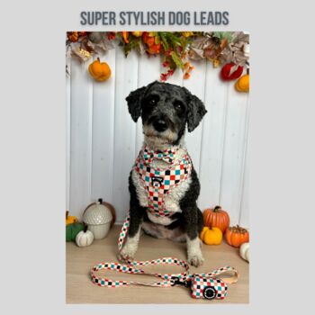 Patchwork Dog Lead/Leash, 4 of 6