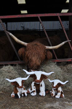 Personalised Texas Longhorn 18 Cm Cow Soft Toy, 3 of 10
