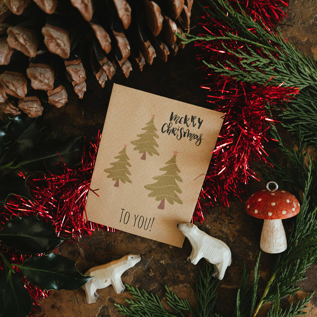 10 Seed Packet Christmas Cards