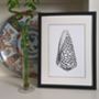 Framed Limited Edition Marble Cone Shell Giclee Print, thumbnail 1 of 6