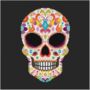 Skull Candy Counted Cross Stitch Kit, thumbnail 1 of 7