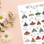 The A To Z Of Moths Print, thumbnail 5 of 6