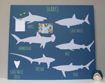Shark Magnetic Noticeboard, 2 of 4
