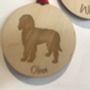 Personalised Engraved Pet Bauble Decoration, thumbnail 2 of 2