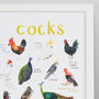'Cocks' Illustrated Bird Art Print, thumbnail 3 of 3