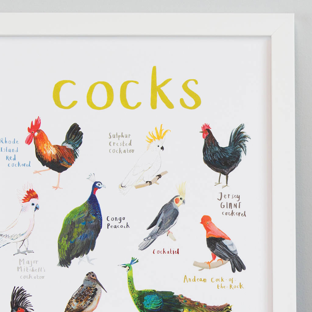 Cocks Illustrated Bird Art Print By Sarah Edmonds Illustration