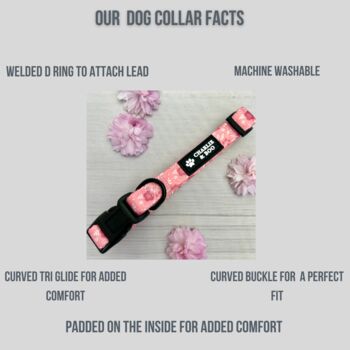 Pink Floral Dog Collar, 4 of 4