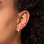 Premium 9ct Gold Leaf Twist Hoop Earrings, thumbnail 1 of 4