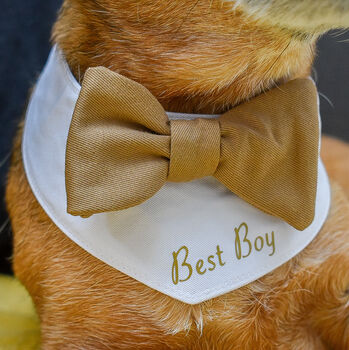 Personalised Dog Bow Tie Wedding Bandana, 4 of 12