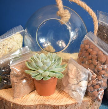 Glass Globe Terrarium Kit With Succulent Or Cactus Gift, 3 of 10