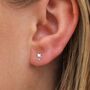 Sterling Silver Sitting Cat Stud Earrings, thumbnail 1 of 6