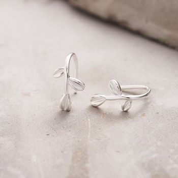 Sterling Silver Olive Leaf Hook Earrings, 2 of 6