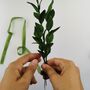 Paper Craft Kit: Foliage Making, thumbnail 8 of 9