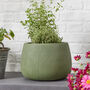 Kalo Green Striped Planter, thumbnail 3 of 7