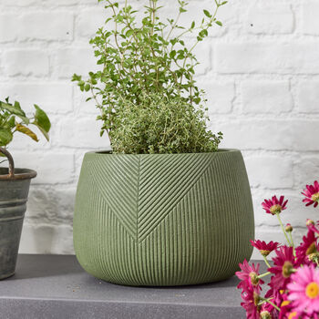Kalo Green Striped Planter, 3 of 7