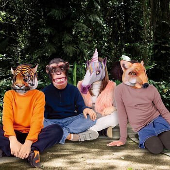 Animal Masks 3D Incl Tiger, Unicorn, Fox And Chimpanzee, 6 of 11