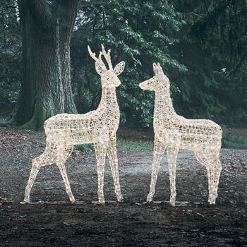 Plug In LED Reindeer Xl Stag And Doe Christmas Figures, 6 of 6
