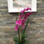 Large Cerise Pink Artificial Silk Orchid Arrangement, thumbnail 2 of 7